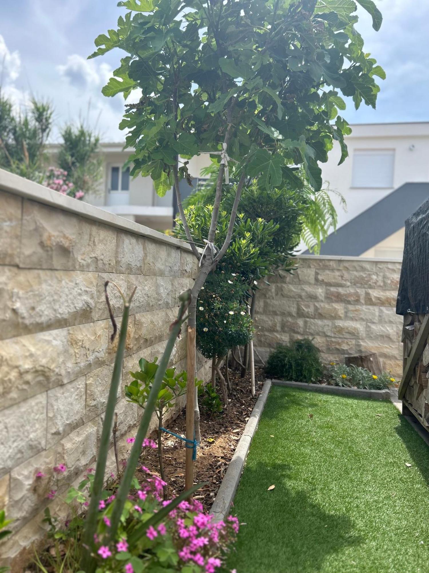 Apartament Velebit View Vir Zewnętrze zdjęcie