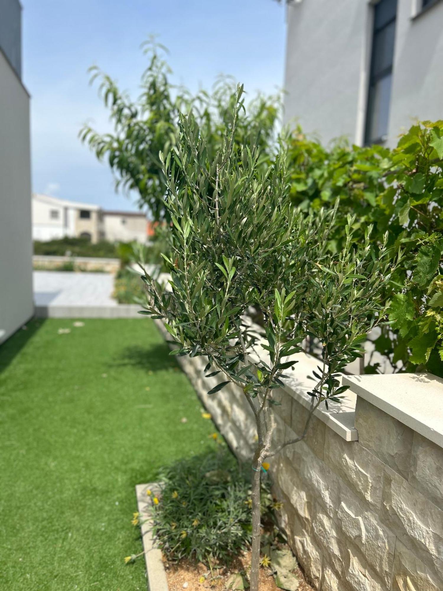 Apartament Velebit View Vir Zewnętrze zdjęcie